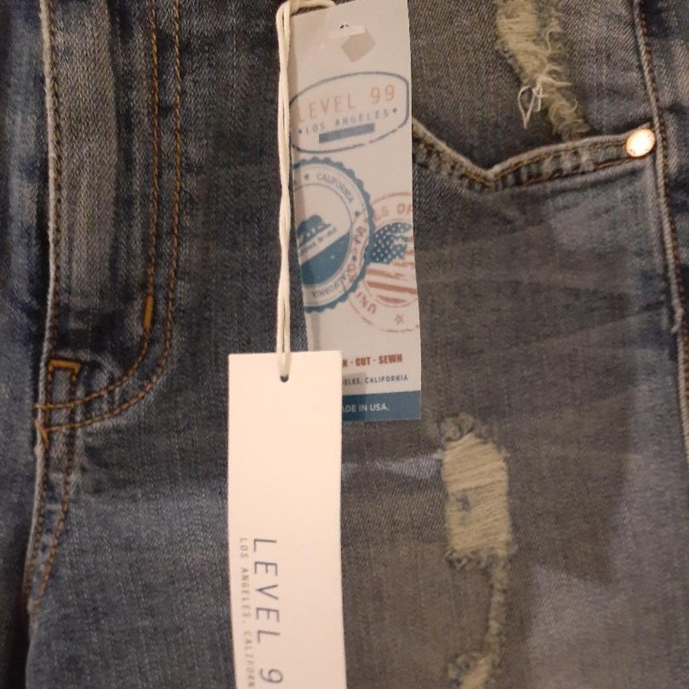 Level 99 distressed shorts